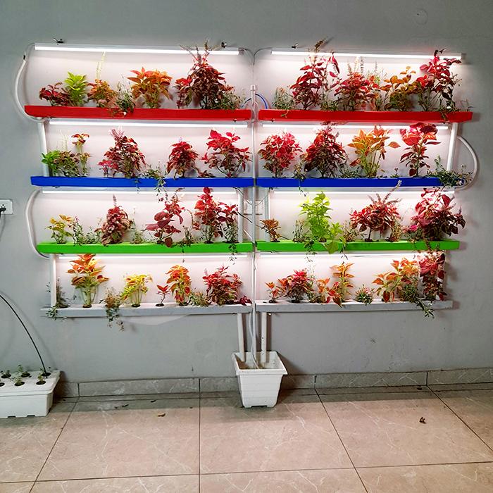 Efficient Indoor Gardening 64 Plant Wall Mounted Hydroponics